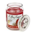 Lilly Lane Champagne & Strawberry 18oz Jar Candle